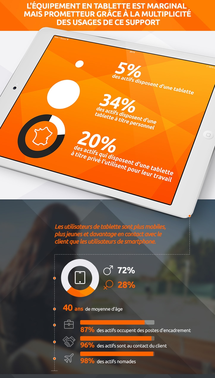 Graphique utilisation tablette professionnelle en france